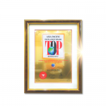 Asia Pacific Top Excellence Brand Year 2016